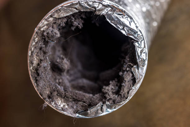 Best Duct Cleaning for Homes  in Mills River, NC