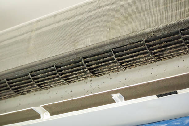 Best Best Air Duct Cleaning Company  in Mills River, NC